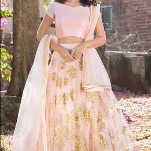 Beautiful light pink and gold embroided lengha.